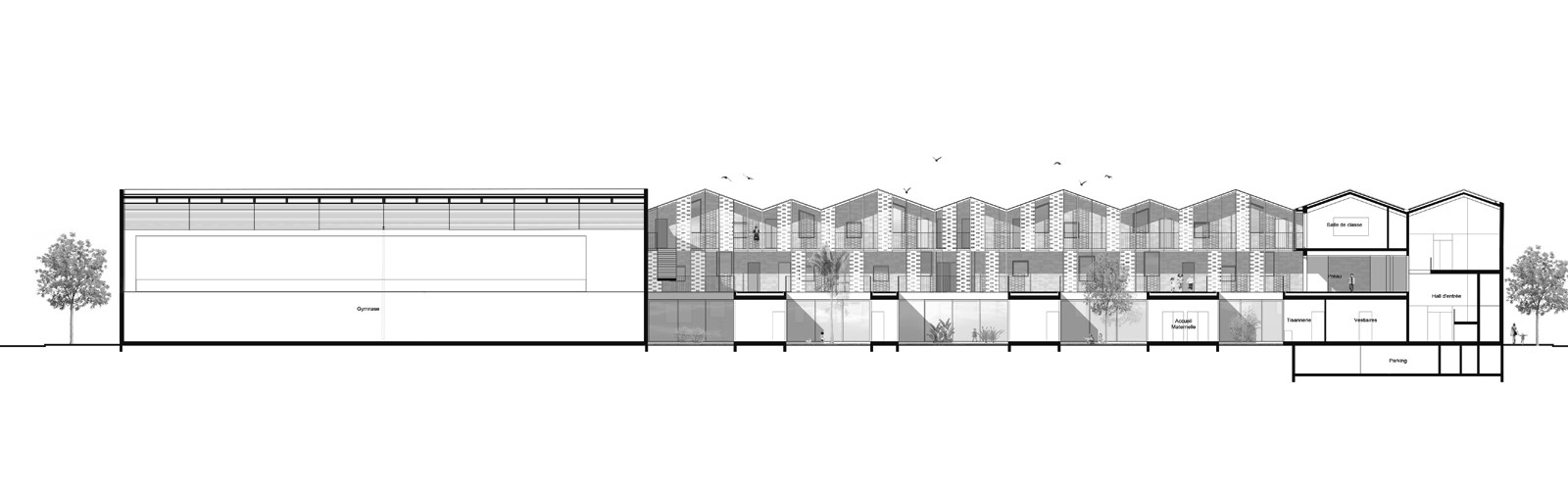 1904 - 08-coupeCC bis